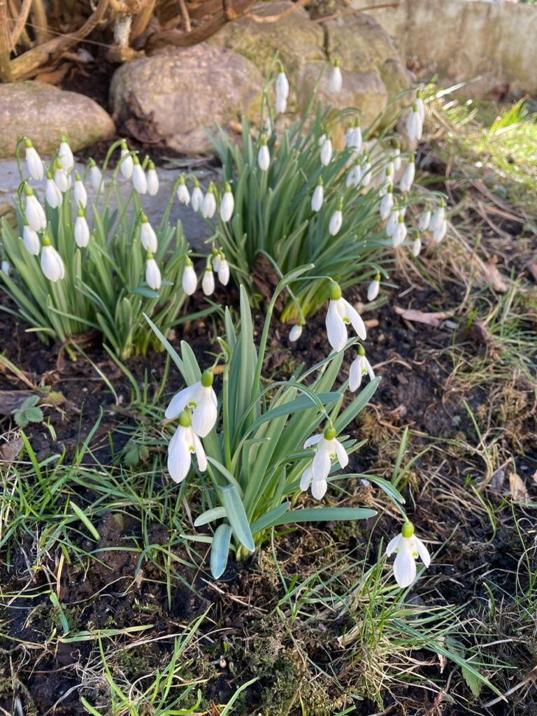 Workshop – Jahreskreisfest Lichtmess – Imbolc