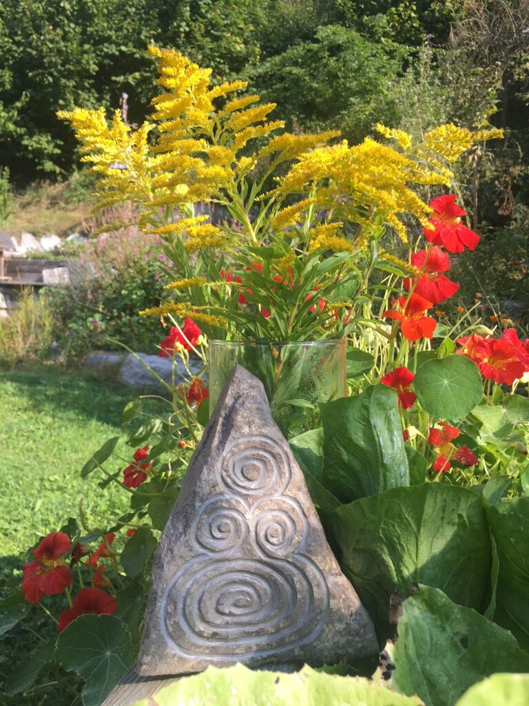 Blogbeitrag – Der Wechsel – Die Wandlungsphase der Frau