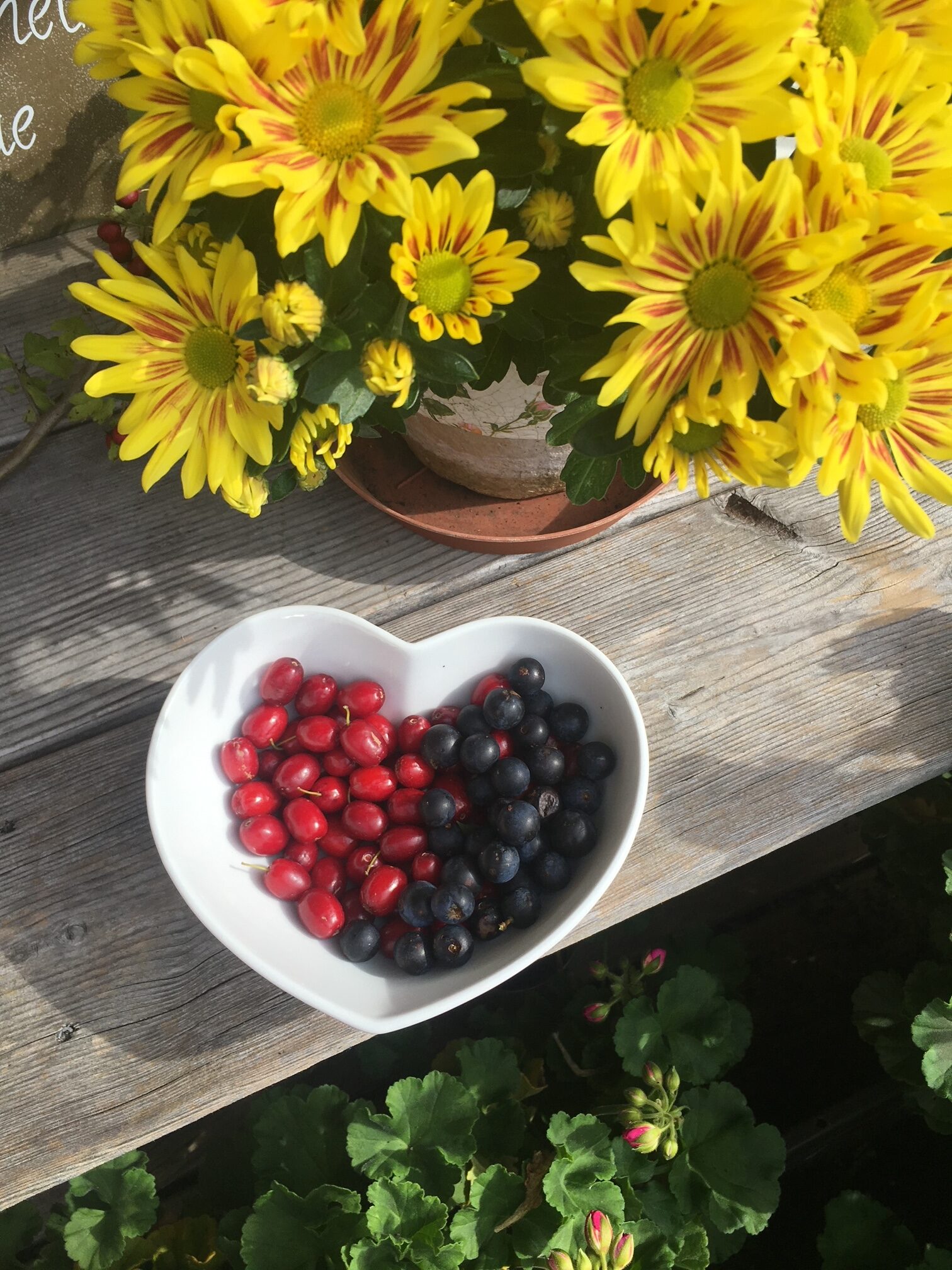 herbst-tagundnachtgleiche-marbon-erdenzauber