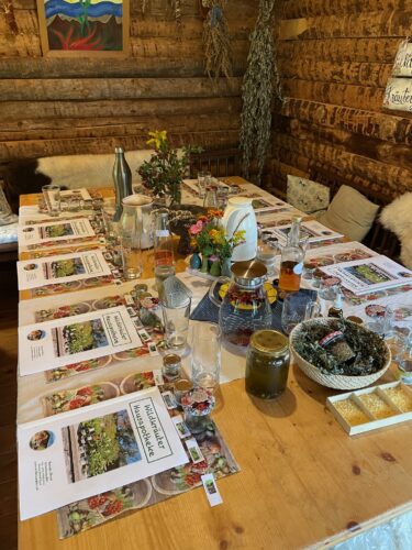 Read more about the article Workshop – Wildkräuter Hausapotheke Herbst