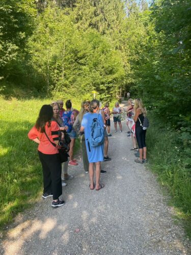 Read more about the article Sommerkräuterwanderung