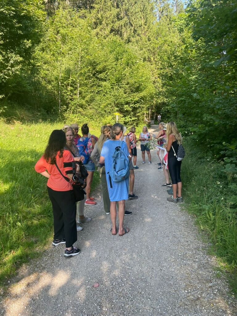 Sommerkräuterwanderung