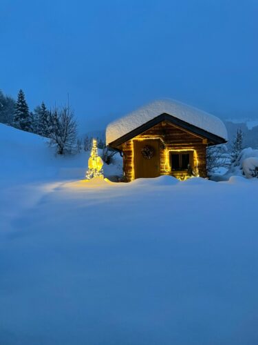 Read more about the article Blogbeitrag – Wintersonnenwende, Weihnachten und Rauhnächte in ihrer ursprünglichen Bedeutung