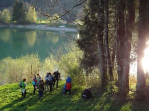 Read more about the article Frühlingskräuterwanderung am Hintersee