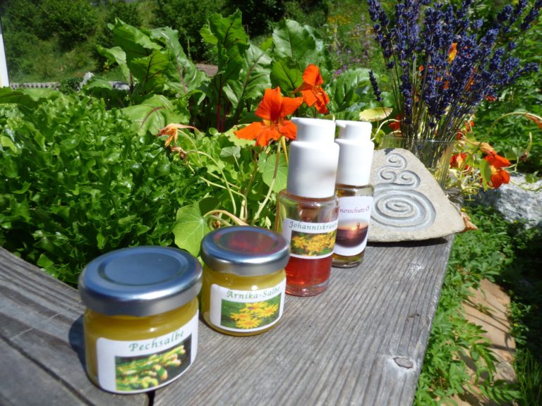 Wildkräuter Hausapotheke – Sommer