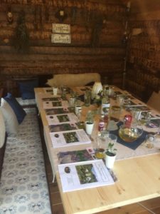 Read more about the article Workshop – Wildkräuter Hausapotheke Herbst